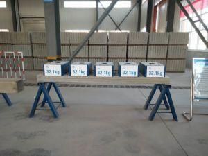 Heatable EPS Cement Sandwich Panel Production Line with Foam Equipment