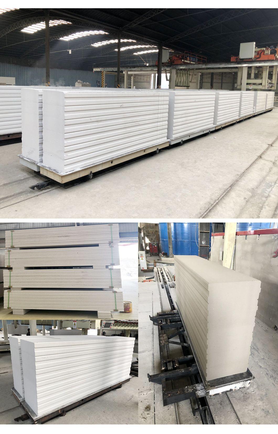 Autoclave Aerated Concrete Wall Panel Machine 100000m3 - 150000m3