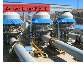 Supply Active Lime Production Line Equipment with Long Warranty