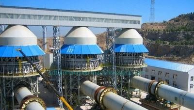 High-Temperature Small Cement Calcination Lime Rotary Kiln