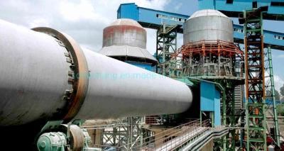 Manufacturing Construction Company Cement/Lime/Limestone Plant Horizontal Lime Rotary Kiln