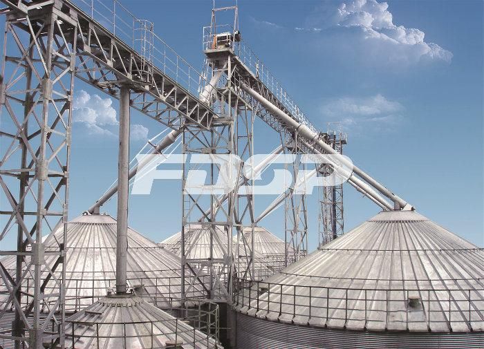 Stainless Steel Milk Storage Silo for Sale Feed Silo for Sales