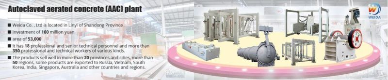 Small Capacity Autoclaved Aerated Concrete AAC Blocks Machine Plant AAC Blocks Manufacturers AAC Block Production Line