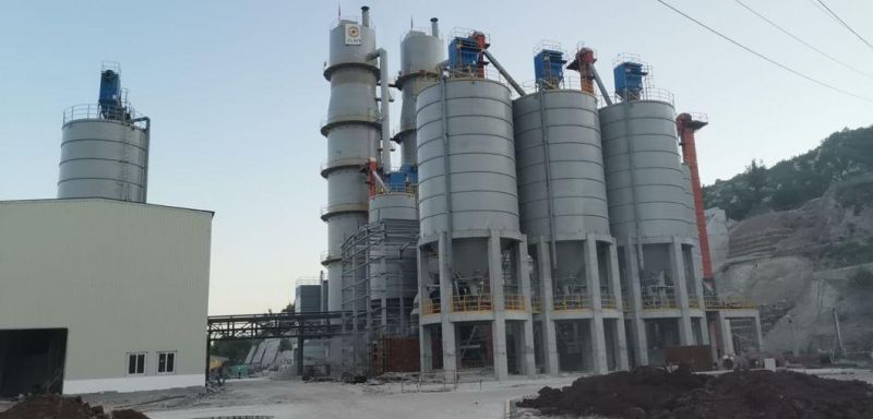 Energy-Saving Factory Price 100-200 T/D Quick Lime Vertical Shaft Kiln for Cao Production Plant
