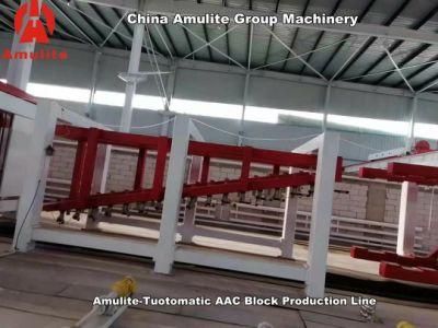 AAC Lightweight Concrete Plant Aerated Autoclaved Concrete Block and Panel Making Machine Machinery