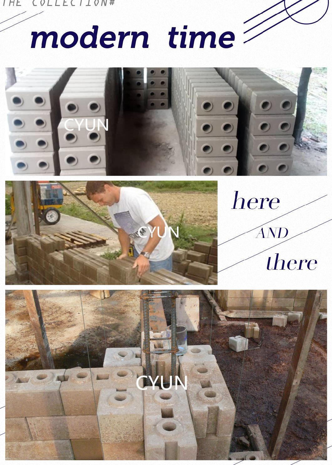 10 Bricks a Go Cy10-10 Full Automatic Clay Brick Making Machine