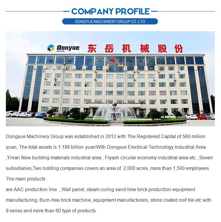 Germany Technology AAC Production Line Machinery Dongyue Brand