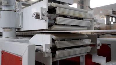 PVC Decorating Panel Extrusion Machine/Line
